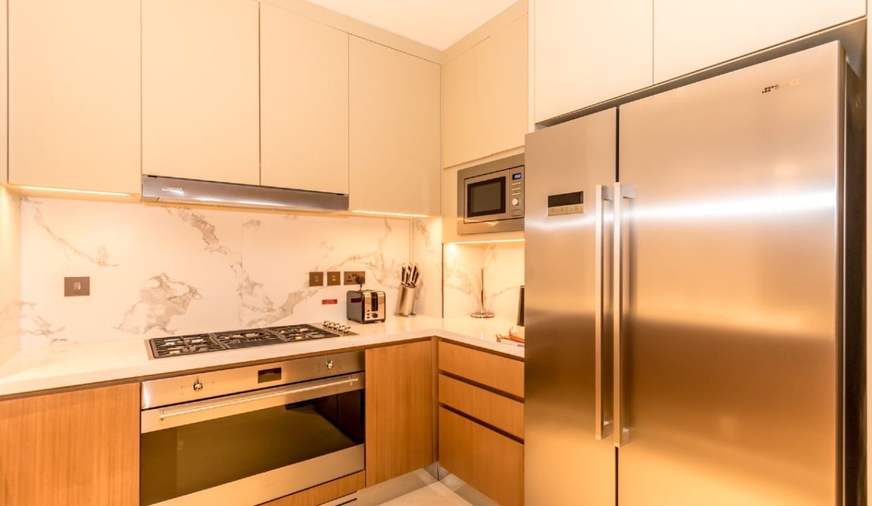 Luxurious 3BR Apartment in Address Opera-21