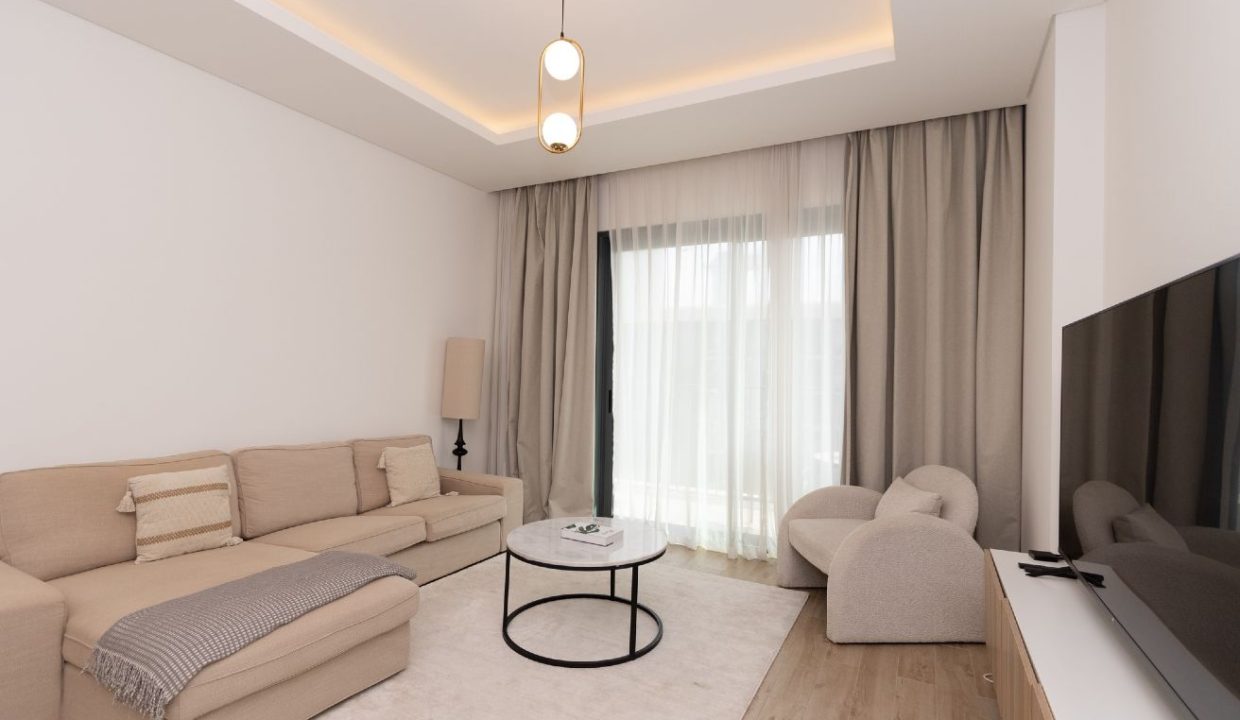 1BR Fully Furnished Apartment in Central Park-2
