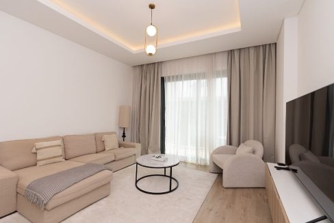 1BR Fully Furnished Apartment in Central Park-2