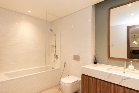 1BR Fully Furnished Apartment in Central Park-15