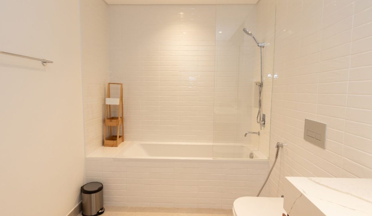 1BR Fully Furnished Apartment in Central Park-16