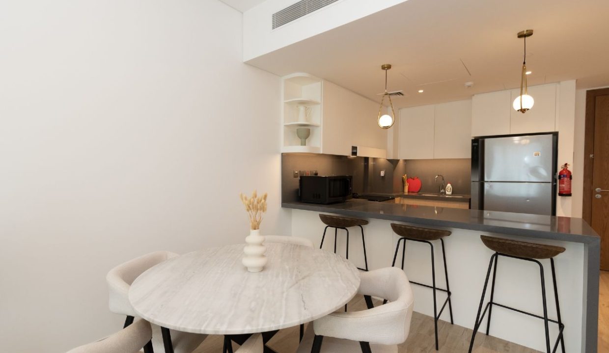 1BR Fully Furnished Apartment in Central Park-5