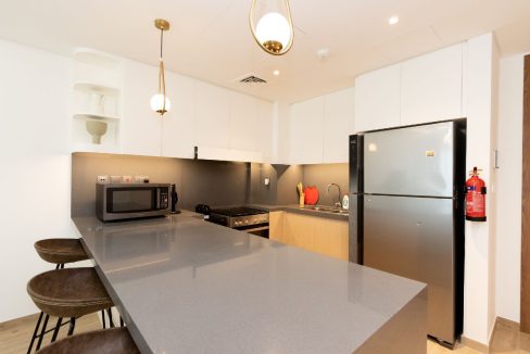 1BR Fully Furnished Apartment in Central Park-6