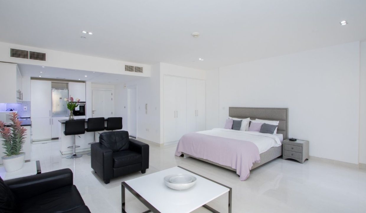 Upgraded Large Studio |Pool View | Fully Furnished-2