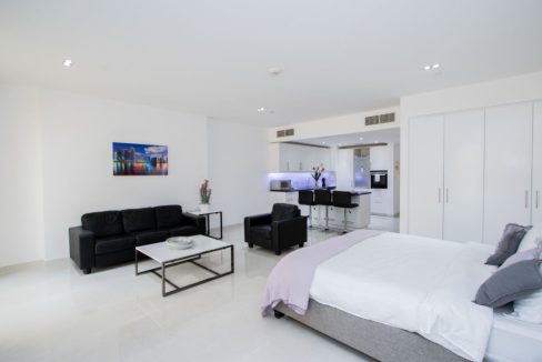 Upgraded Large Studio |Pool View | Fully Furnished-4
