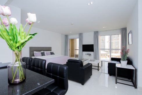 Upgraded Large Studio |Pool View | Fully Furnished-9