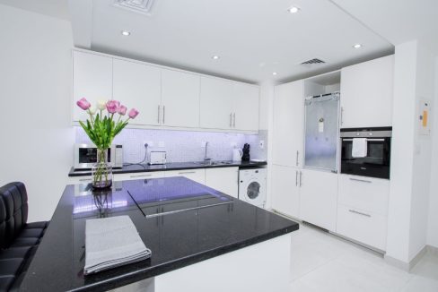 Upgraded Large Studio |Pool View | Fully Furnished-10