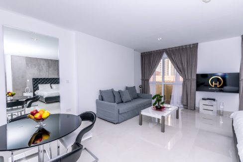 Large Upgraded Studio | Brand New Flooring-14