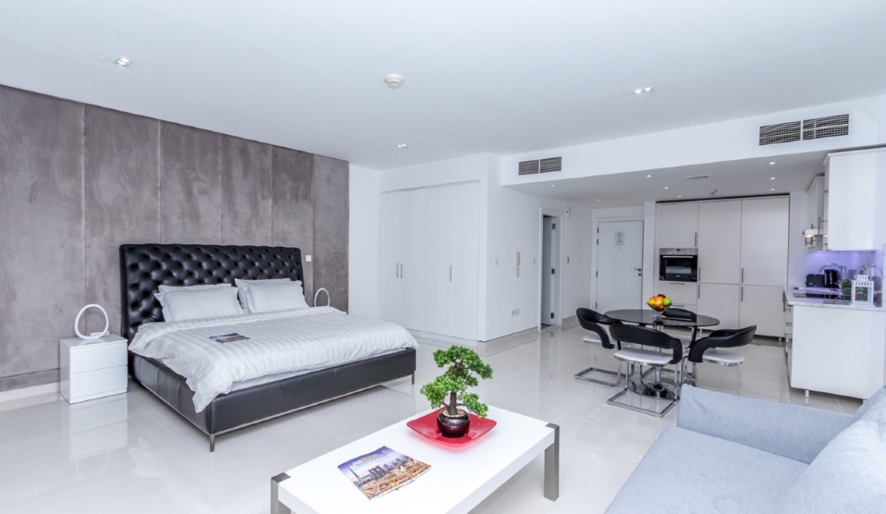 Large Upgraded Studio | Brand New Flooring-18